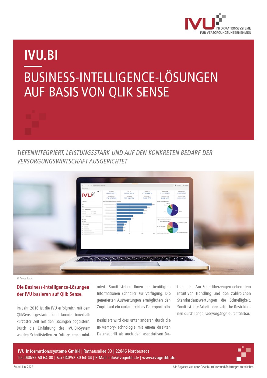 IVU Business Intelligence